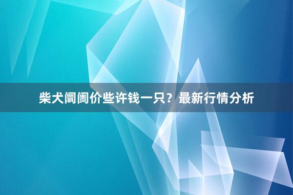 柴犬阛阓价些许钱一只？最新行情分析
